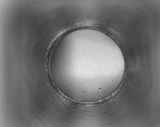 X0000059841166200511041805