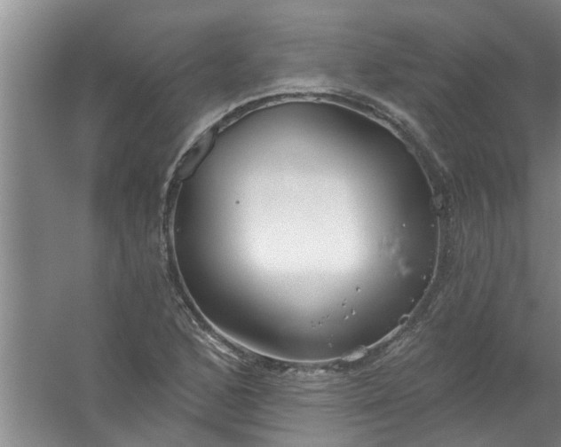 X0000059841168200511041805