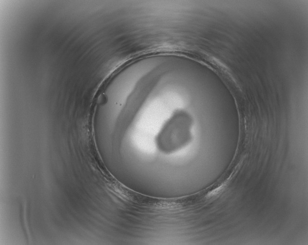 X0000059841170200511041805