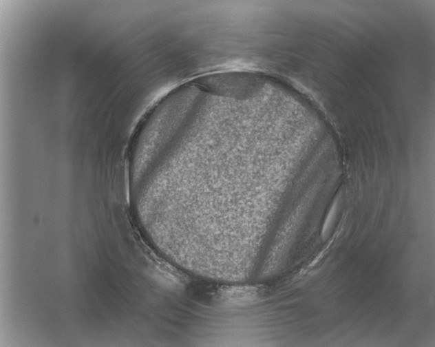 X0000059841171200511041805