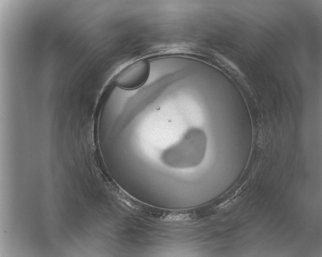 X0000059841174200511041805