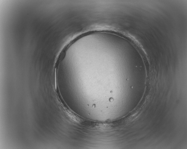 X0000059841175200511041805