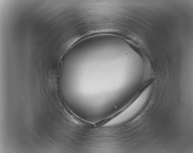 X0000059841177200511041805