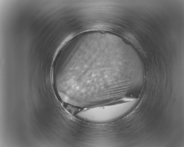 X0000059841180200511041805