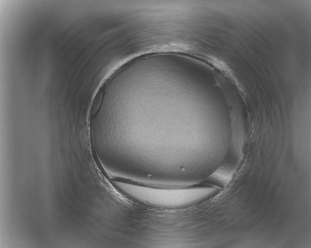 X0000059841184200511041805