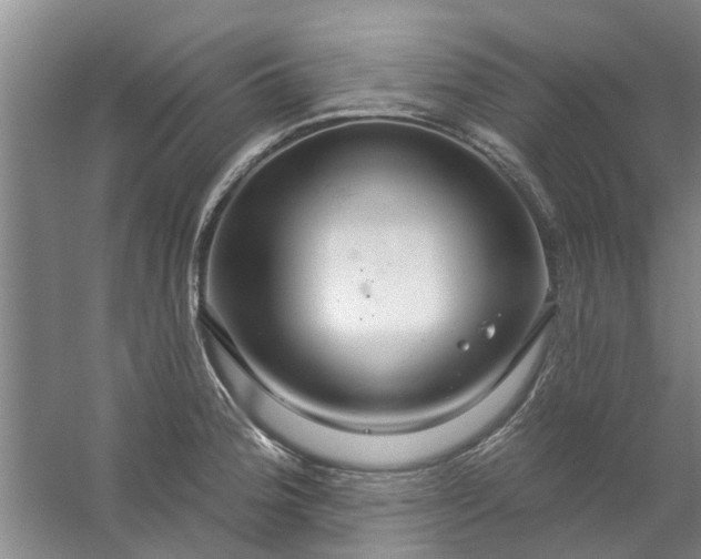 X0000059841188200511041805