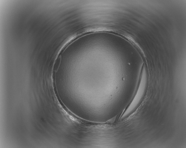 X0000059841189200511041805