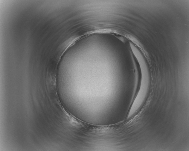 X0000059841193200511041805