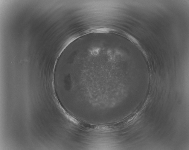 X0000059841194200511041805