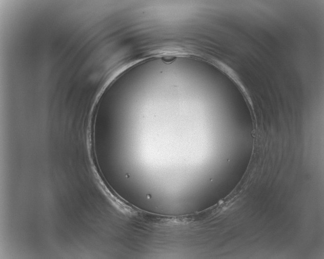 X0000059841195200511041805