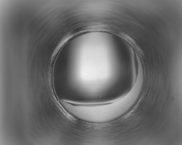 X0000059841196200511041805