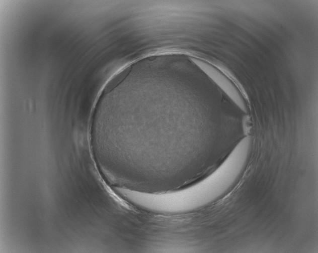 X0000059841197200511041805