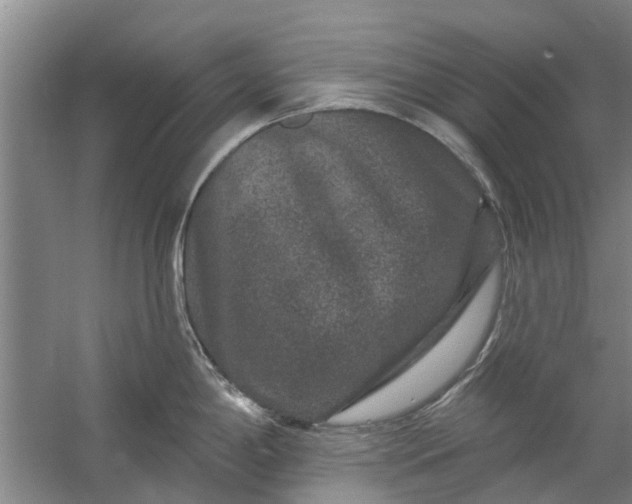 X0000059841198200511041805