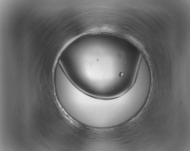 X0000059841200200511041805