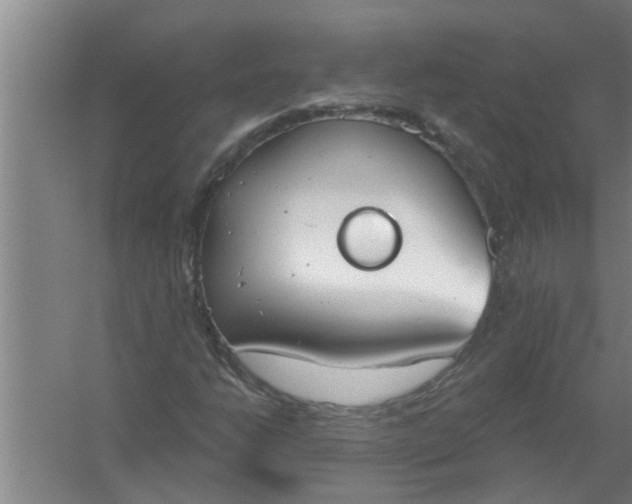 X0000059841206200511041804