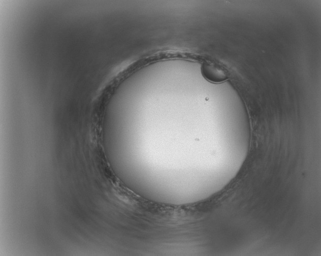 X0000059841207200511041804