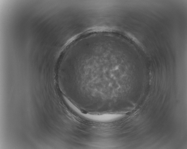 X0000059841213200511041804