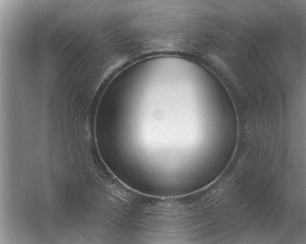 X0000059841218200511041804