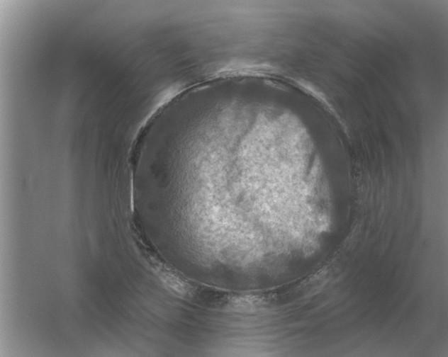 X0000059841219200511041804