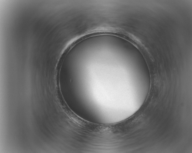 X0000059841222200511041804