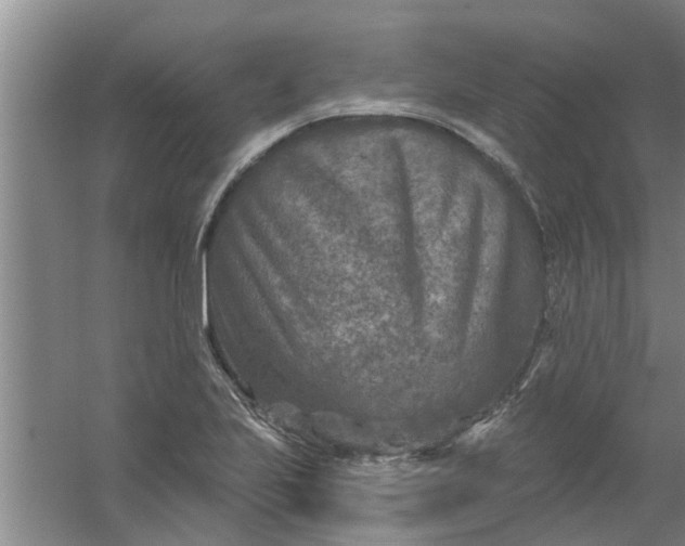 X0000059841223200511041804