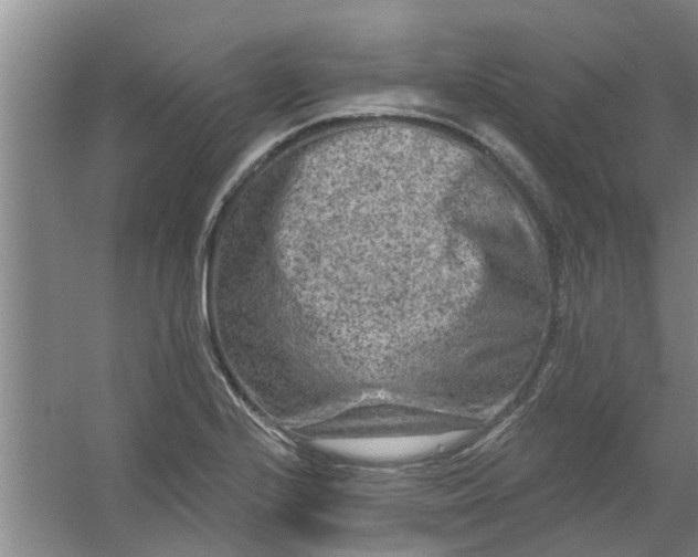 X0000059841224200511041804