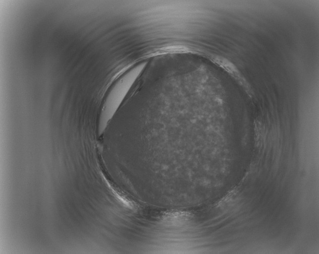 X0000059841225200511041804