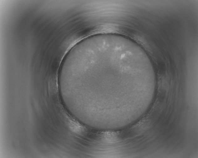 X0000059841226200511041804