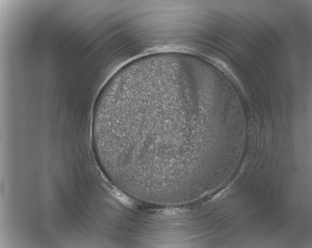 X0000059841228200511041804