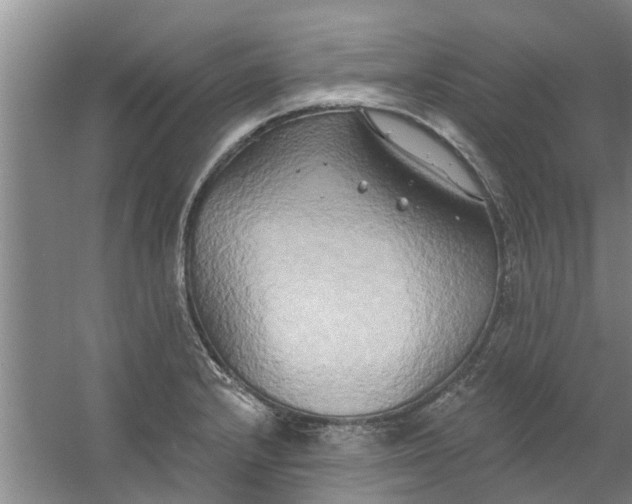 X0000059841232200511041804