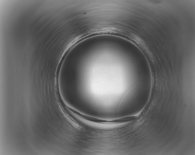 X0000059841234200511041804