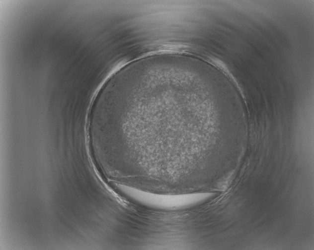 X0000059841235200511041804