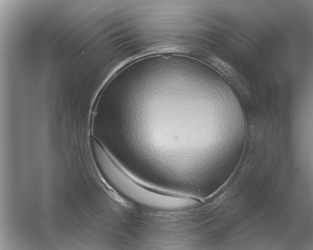 X0000059841236200511041804