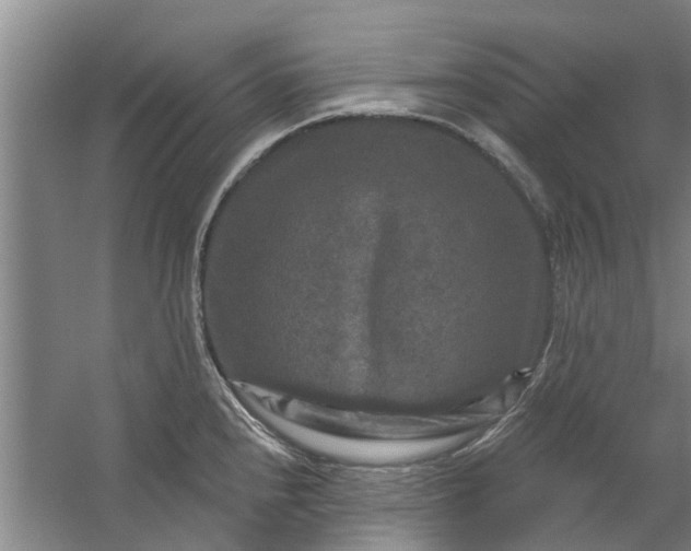 X0000059841240200511041804