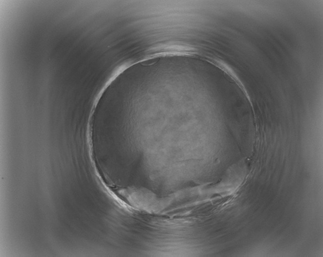 X0000059841243200511041804