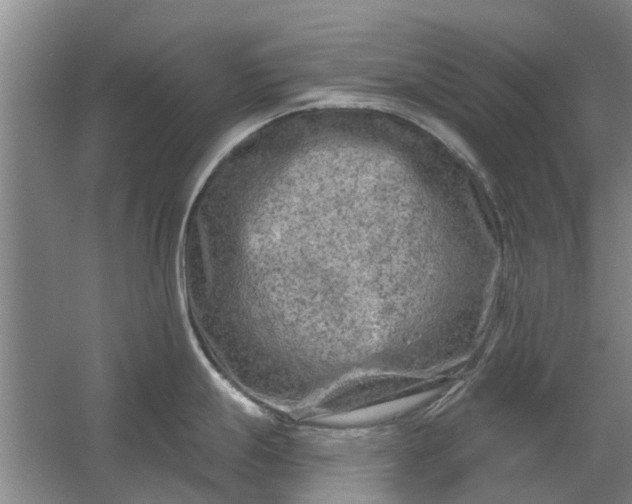 X0000059841247200511041804