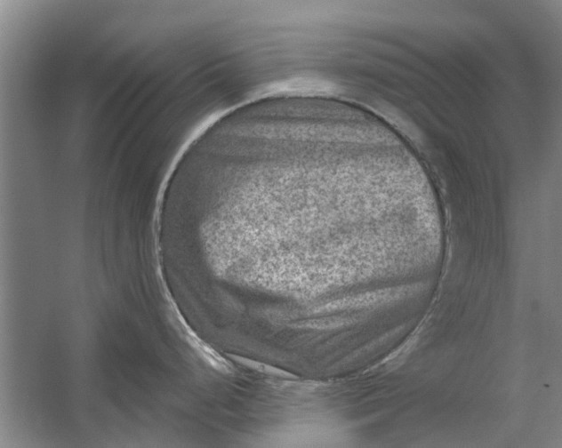 X0000059841248200511041805