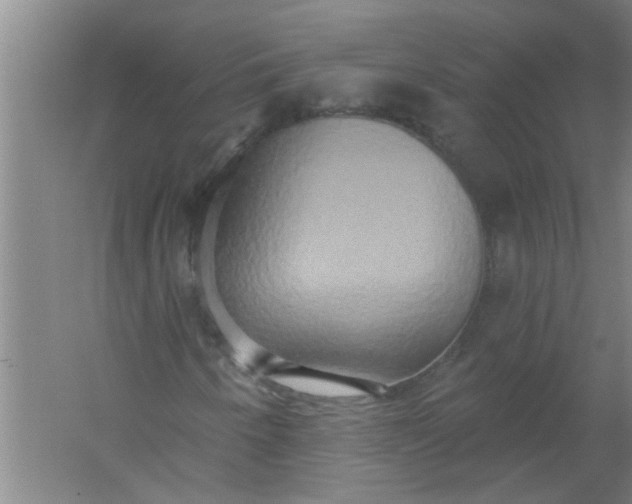 X0000059841250200511041804