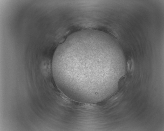 X0000059841251200511041804