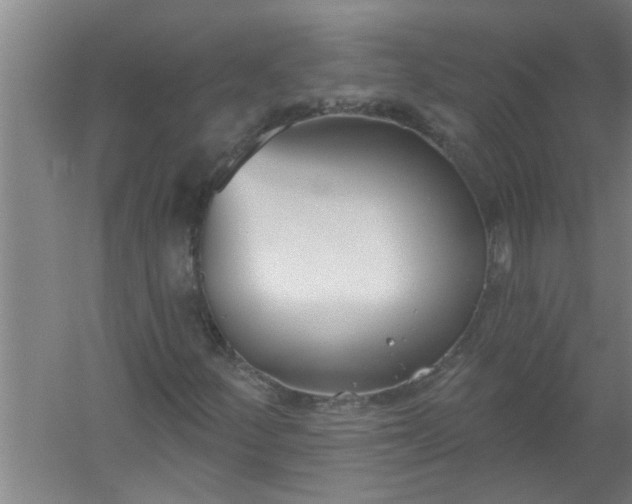 X0000059841252200511041804