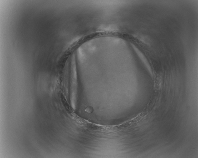 X0000059841254200511041804