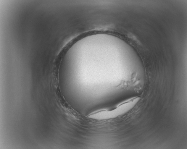 X0000059841256200511041804