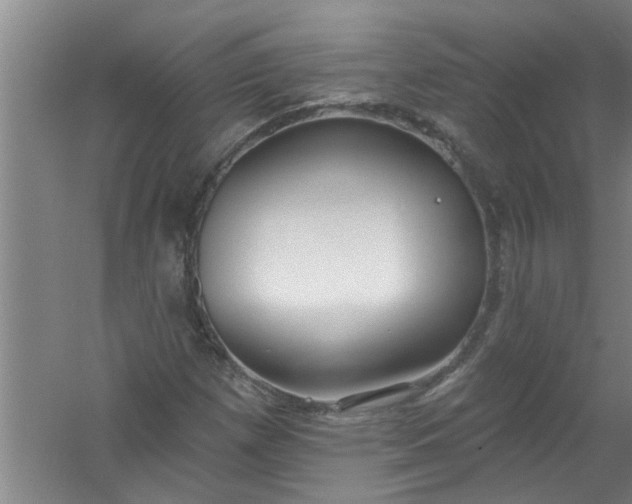 X0000059841257200511041804