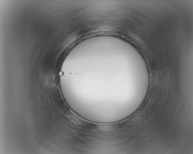 X0000059841258200511041804