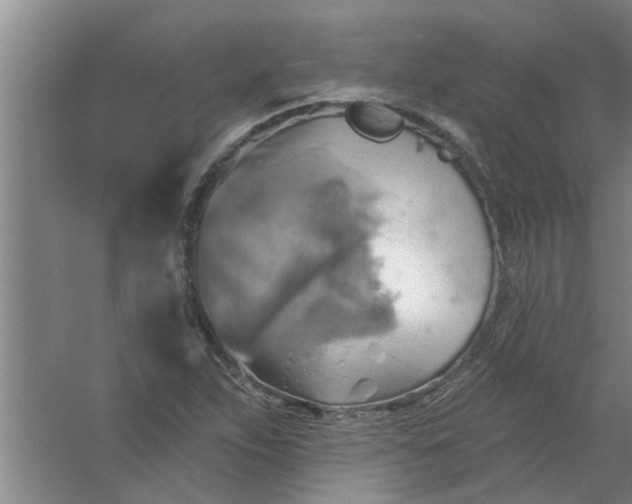 X0000059841263200511041803