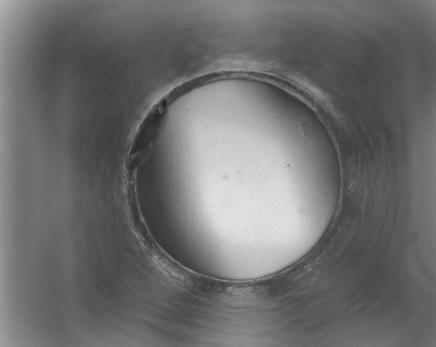 X0000059841264200511041803