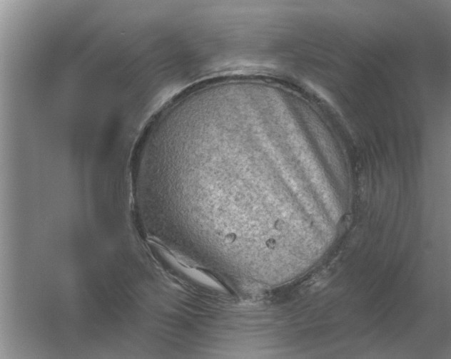 X0000059841267200511041803