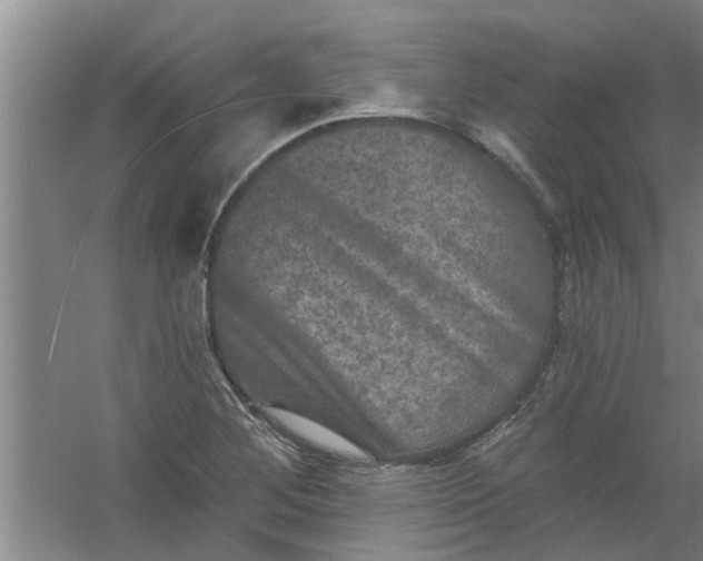 X0000059841268200511041803