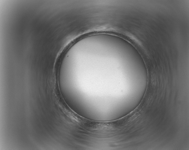 X0000059841270200511041803