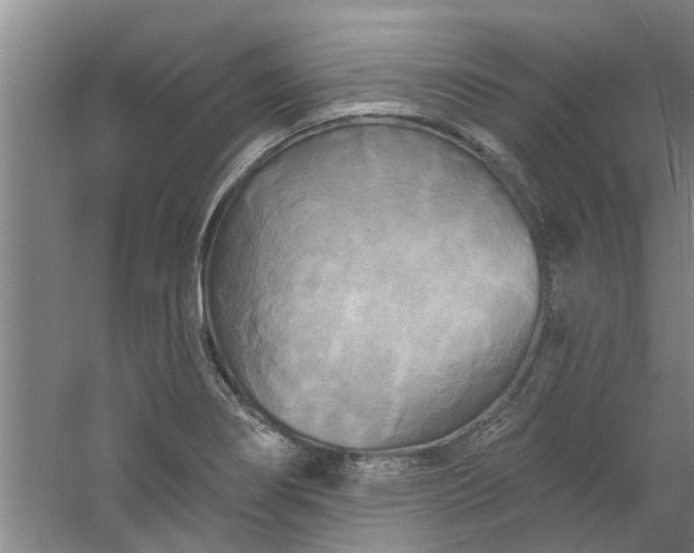 X0000059841274200511041803